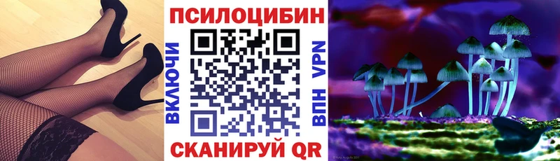 Купить где  Солигалич  Галлюциногенные грибы прущие грибы 